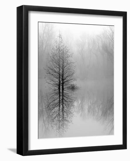 Lake Trees in Winter Fog-Nicholas Bell-Framed Photographic Print