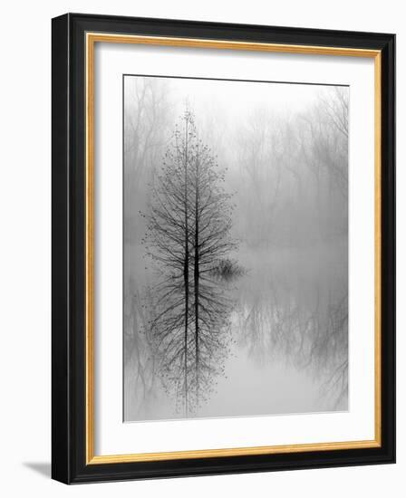 Lake Trees in Winter Fog-Nicholas Bell-Framed Photographic Print