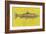 Lake Trout-John Golden-Framed Art Print