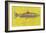 Lake Trout-John Golden-Framed Art Print