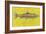 Lake Trout-John Golden-Framed Giclee Print