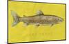 Lake Trout-John W^ Golden-Mounted Art Print