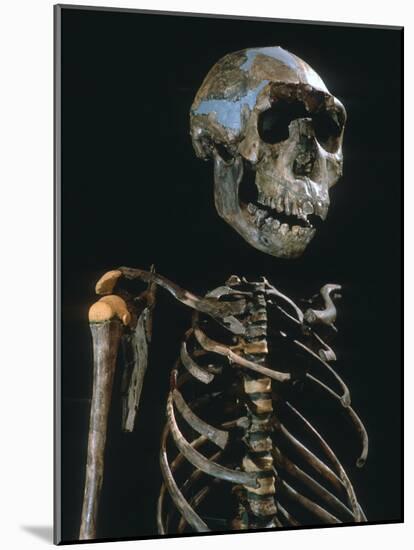 Lake Turkana Boy, National Museums, Nairobi, Kenya-Kenneth Garrett-Mounted Photographic Print