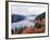 Lake Vernwy, Mid Wales, December 2002-null-Framed Photographic Print