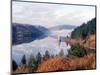 Lake Vernwy, Mid Wales, December 2002-null-Mounted Photographic Print