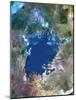 Lake Victoria, Satellite Image-PLANETOBSERVER-Mounted Photographic Print