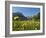 Lake Vilsalpsee, Tannheim Valley, Austria-Katja Kreder-Framed Photographic Print