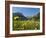 Lake Vilsalpsee, Tannheim Valley, Austria-Katja Kreder-Framed Photographic Print