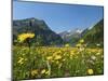 Lake Vilsalpsee, Tannheim Valley, Austria-Katja Kreder-Mounted Photographic Print