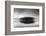 Lake Volvi VII-George Digalakis-Framed Photographic Print