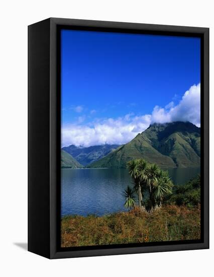 Lake Wakatipu and Mount Hector-Leslie Richard Jacobs-Framed Premier Image Canvas