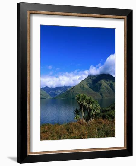 Lake Wakatipu and Mount Hector-Leslie Richard Jacobs-Framed Photographic Print