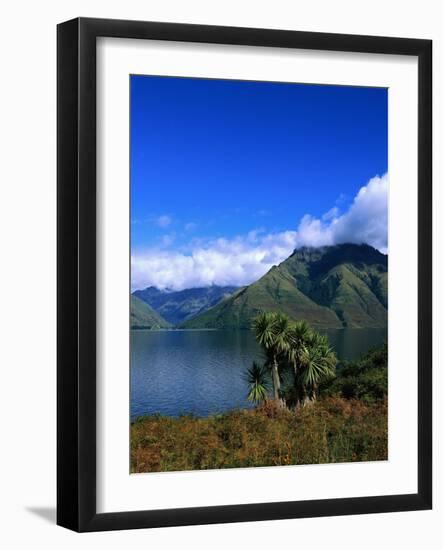 Lake Wakatipu and Mount Hector-Leslie Richard Jacobs-Framed Photographic Print