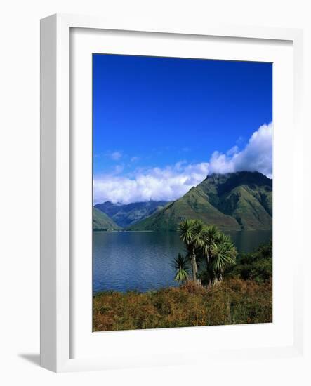 Lake Wakatipu and Mount Hector-Leslie Richard Jacobs-Framed Photographic Print