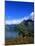 Lake Wakatipu and Mount Hector-Leslie Richard Jacobs-Mounted Photographic Print