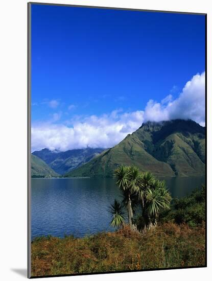 Lake Wakatipu and Mount Hector-Leslie Richard Jacobs-Mounted Photographic Print