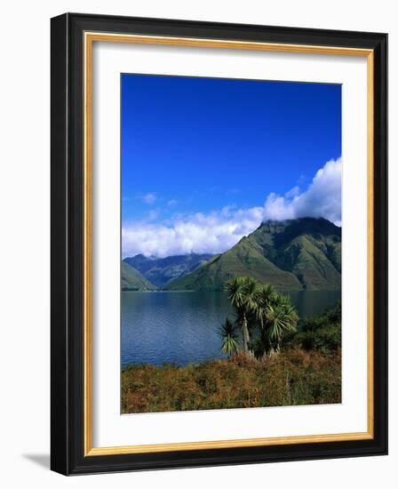 Lake Wakatipu and Mount Hector-Leslie Richard Jacobs-Framed Photographic Print