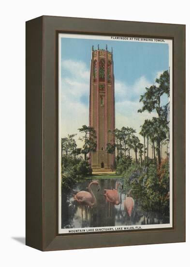 Lake Wales, FL - View of Singing Tower & Flamingos-Lantern Press-Framed Stretched Canvas
