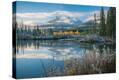 Stretched Canvas Print