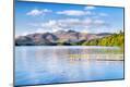 Photographic Print