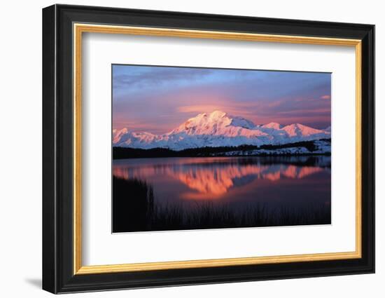 Lake with Mt McKinley, Denali National Park and Preserve, Alaska, USA-Hugh Rose-Framed Photographic Print