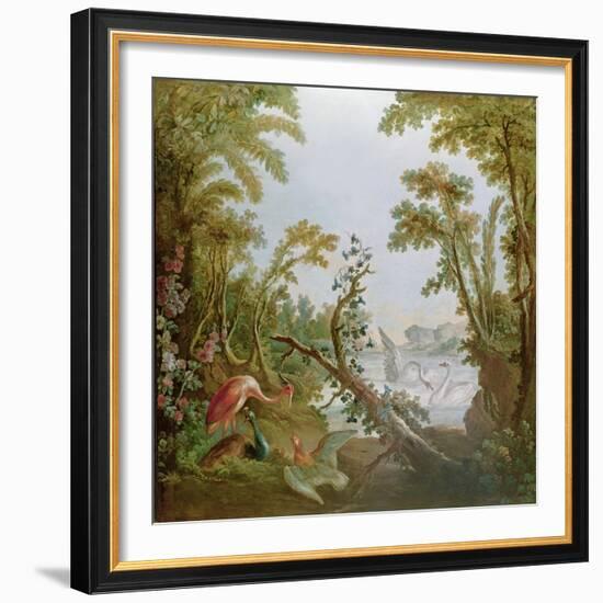 Lake with Swans, a Flamingo and Various Birds, from the Salon of Gilles Demarteau, C.1750-65-Francois Boucher-Framed Giclee Print