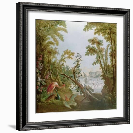 Lake with Swans, a Flamingo and Various Birds, from the Salon of Gilles Demarteau, C.1750-65-Francois Boucher-Framed Giclee Print