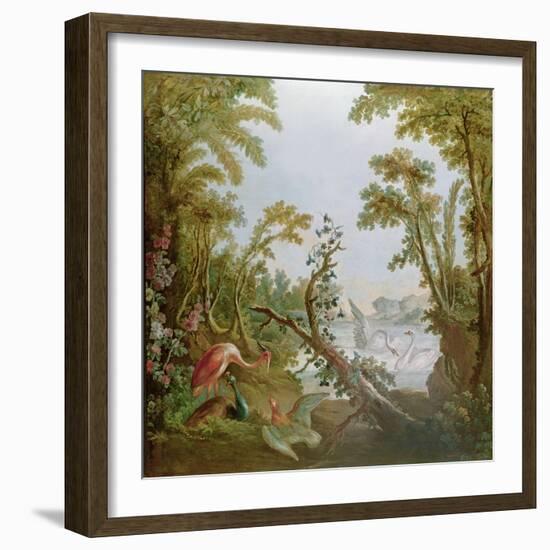 Lake with Swans, a Flamingo and Various Birds, from the Salon of Gilles Demarteau, C.1750-65-Francois Boucher-Framed Giclee Print