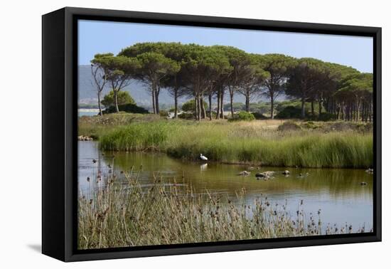 Lake with Water Plants and Bird-Guy Thouvenin-Framed Premier Image Canvas