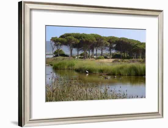 Lake with Water Plants and Bird-Guy Thouvenin-Framed Photographic Print