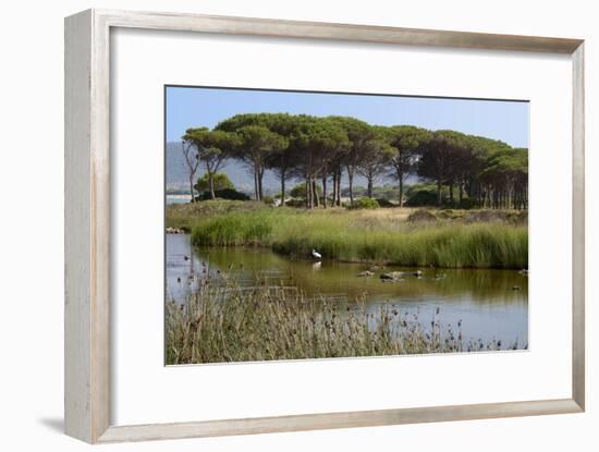 Lake with Water Plants and Bird-Guy Thouvenin-Framed Photographic Print