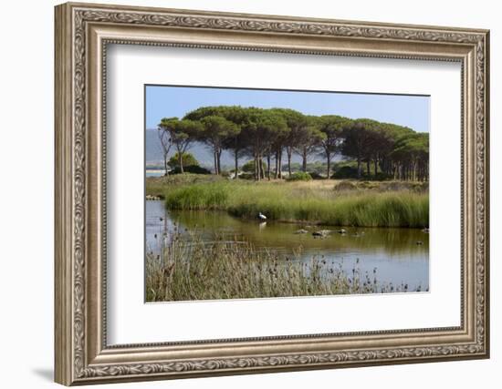 Lake with Water Plants and Bird-Guy Thouvenin-Framed Photographic Print