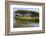 Lake with Water Plants and Bird-Guy Thouvenin-Framed Photographic Print