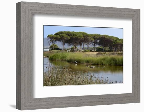 Lake with Water Plants and Bird-Guy Thouvenin-Framed Photographic Print