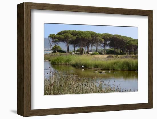 Lake with Water Plants and Bird-Guy Thouvenin-Framed Photographic Print