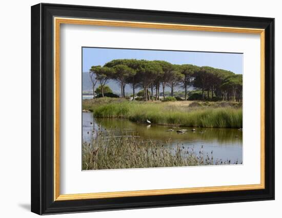 Lake with Water Plants and Bird-Guy Thouvenin-Framed Photographic Print