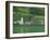 Lake Wolfgangsee, St. Wolfgang, the Salzkammergut, Austria, Europe-Gavin Hellier-Framed Photographic Print