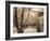 Lakefront View I-Ily Szilagyi-Framed Giclee Print