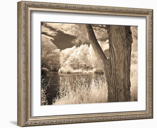 Lakefront View II-Ily Szilagyi-Framed Giclee Print