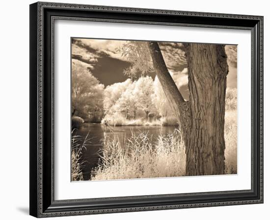 Lakefront View II-Ily Szilagyi-Framed Giclee Print