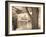 Lakefront View II-Ily Szilagyi-Framed Giclee Print