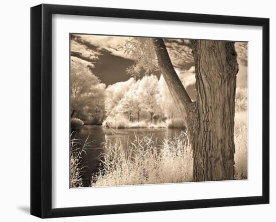 Lakefront View II-Ily Szilagyi-Framed Giclee Print