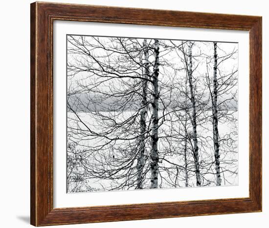 Lakelands-Andrew Geiger-Framed Giclee Print