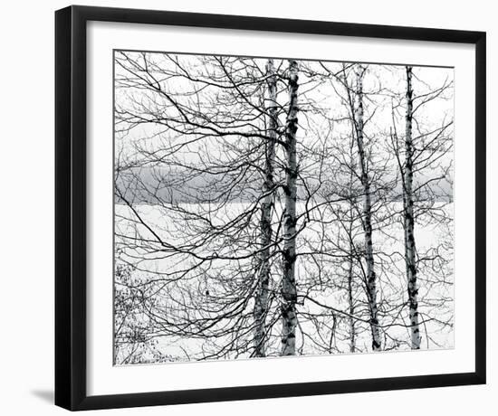 Lakelands-Andrew Geiger-Framed Giclee Print