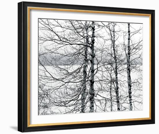 Lakelands-Andrew Geiger-Framed Giclee Print