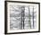 Lakelands-Andrew Geiger-Framed Giclee Print