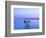 Lakescape I-James McLoughlin-Framed Photographic Print