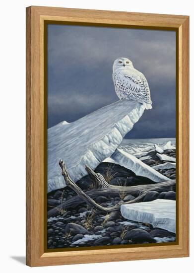 Lakeshore Ice-Wilhelm Goebel-Framed Premier Image Canvas