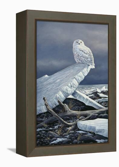 Lakeshore Ice-Wilhelm Goebel-Framed Premier Image Canvas
