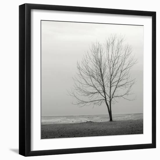 Lakeshore Tree-Nicholas Bell-Framed Photographic Print